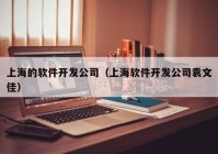 上海的软件开发公司（上海软件开发公司袁文佳）
